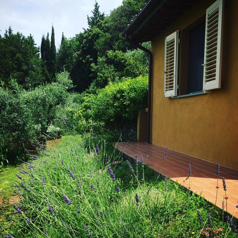 La Locanda del Barbagianni Santa Luce Bagian luar foto